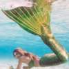 Silicone Tails for Mermaids and Mermen - Custom made for sale - Immerse yourself in a world of wonder with our silicone mermaid tails for sale in Australia